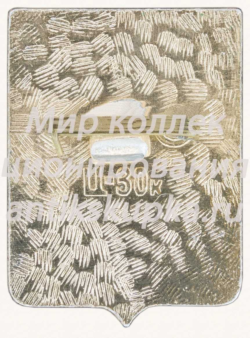 Знак «Город Новосибирск» 3 Знак «Город Новосибирск» 3
