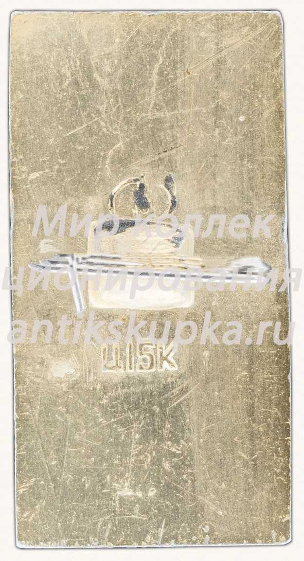 Знак «Город Павловск» Знак «Город Павловск»