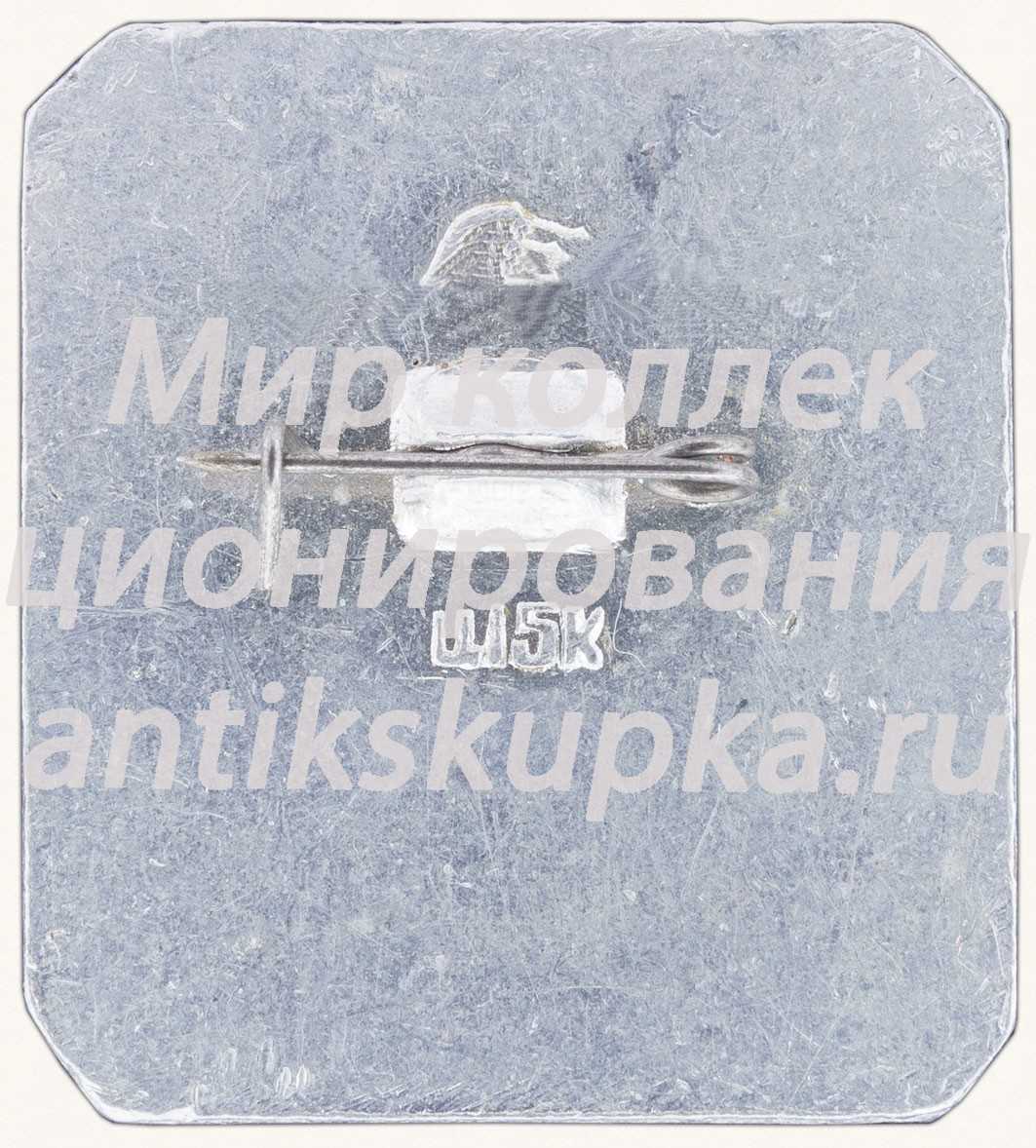 Знак «Город Псков. Тип 2» Знак «Город Псков. Тип 2»