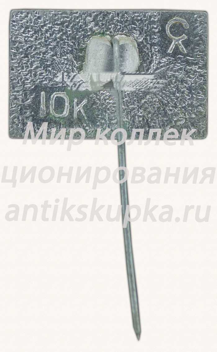 Знак «Город Пушкин» Знак «Город Пушкин»