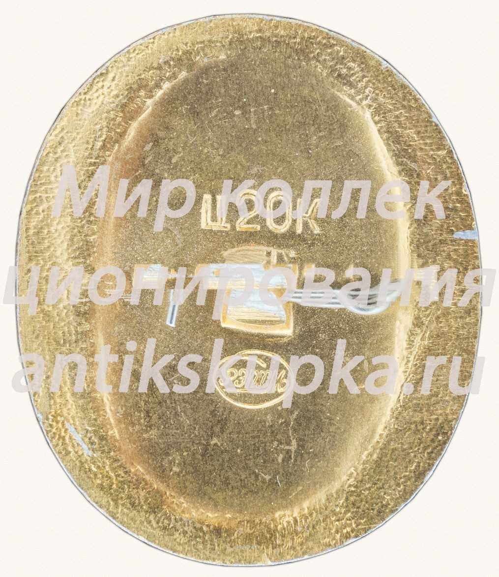 Знак «Город Ростов-на-Дону. Тип 2» Знак «Город Ростов-на-Дону. Тип 2»