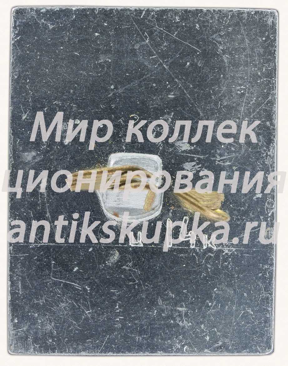 Знак «Город Сочи. Тип 2» Знак «Город Сочи. Тип 2»