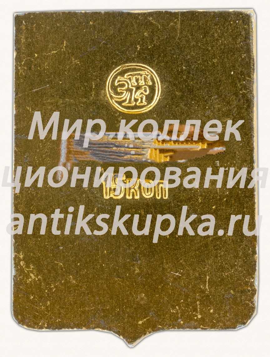 Знак «Город Сольвычегодск. Вологодская губерния» Знак «Город Сольвычегодск. Вологодская губерния»