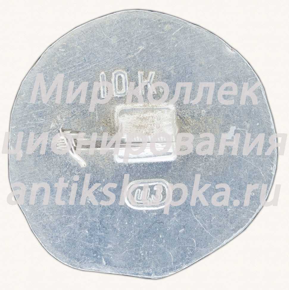 Знак «Город Суздаль XVIII» Знак «Город Суздаль XVIII»