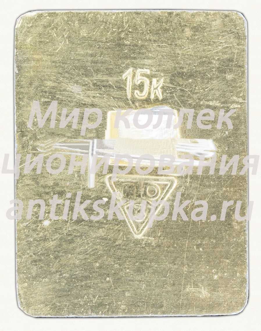 Знак «Город Суздаль. Тип 15» Знак «Город Суздаль. Тип 15»