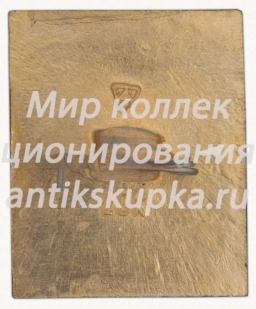 Знак «Город Суздаль. Тип 9» Знак «Город Суздаль. Тип 9»