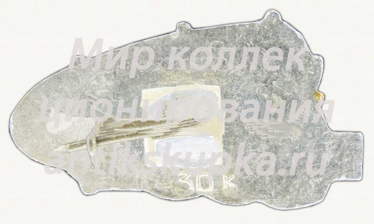 Знак «Город Тюмень. Тип 3» Знак «Город Тюмень. Тип 3»