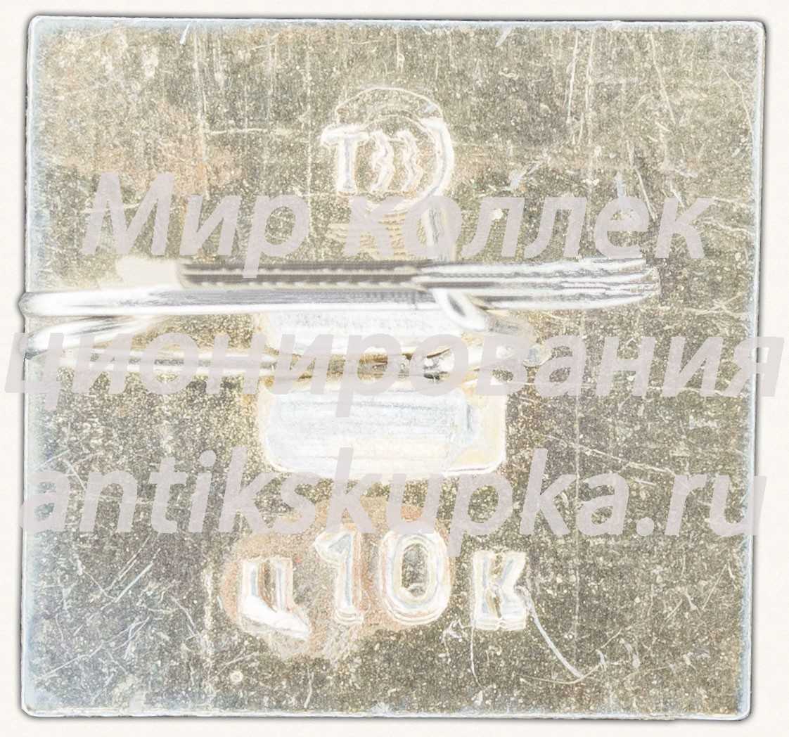 Знак «Город Тула. Тип 2» Знак «Город Тула. Тип 2»