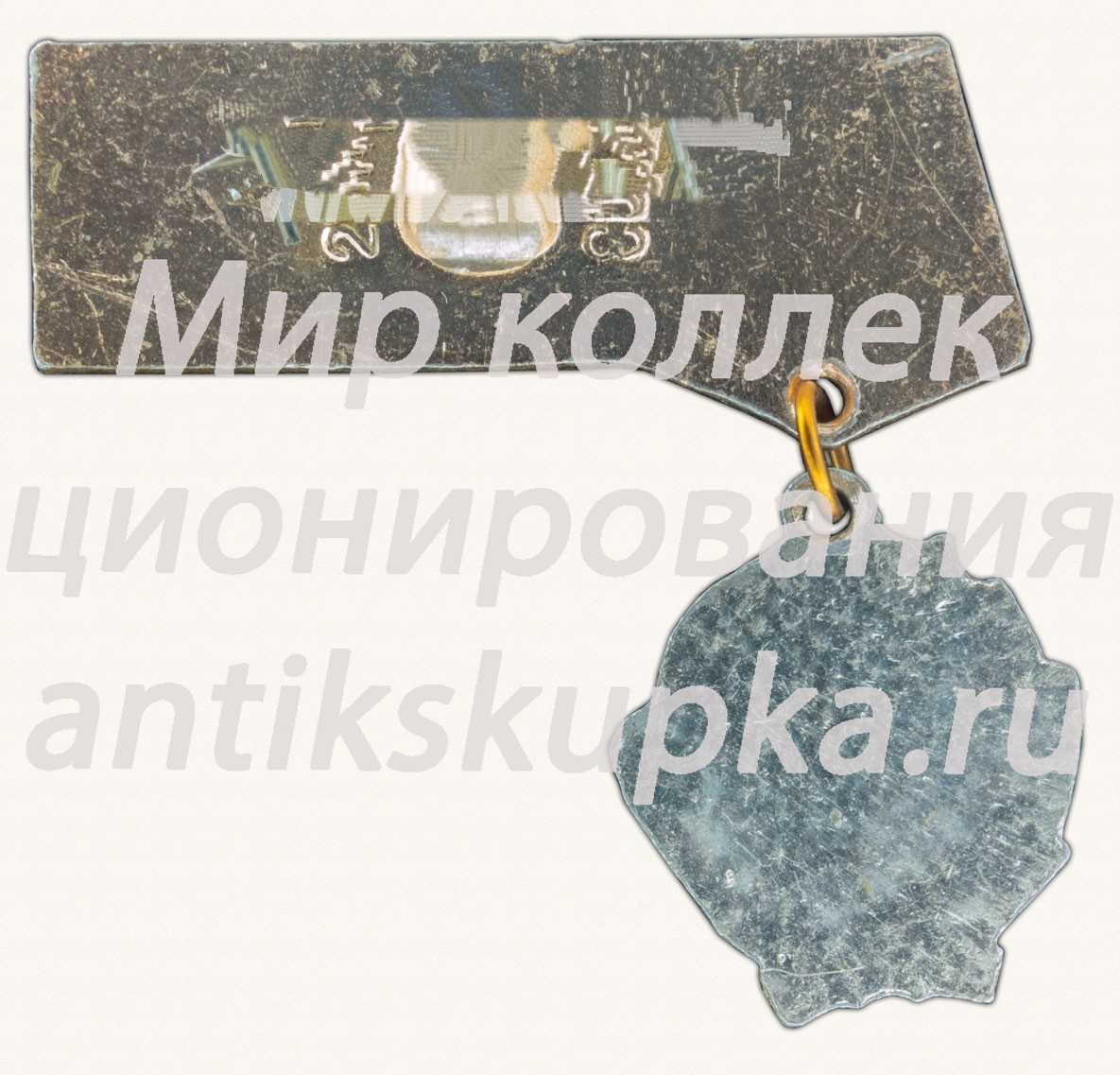 Знак «Город Ульяновск. Орден Ленина» 2 Знак «Город Ульяновск. Орден Ленина» 2