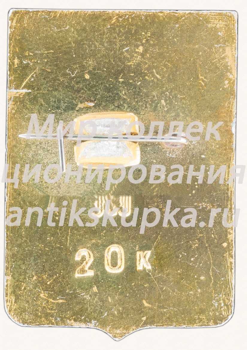 Знак «Город Видное. Горки. Турист» Знак «Город Видное. Горки. Турист»