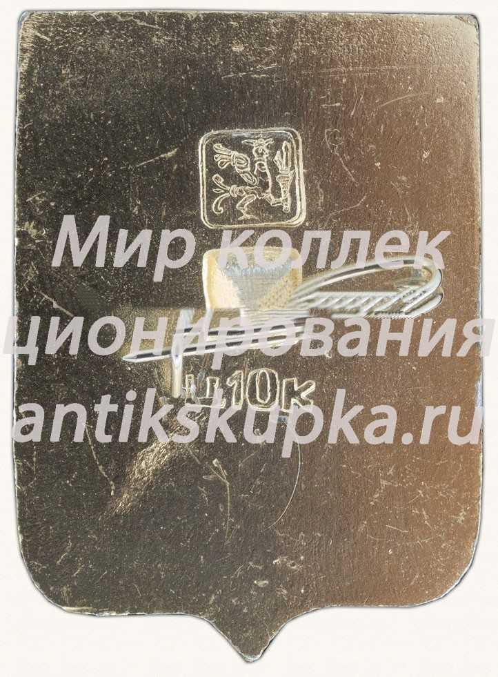 Знак «Город Владимир. Тип 10» 2 Знак «Город Владимир. Тип 10» 2