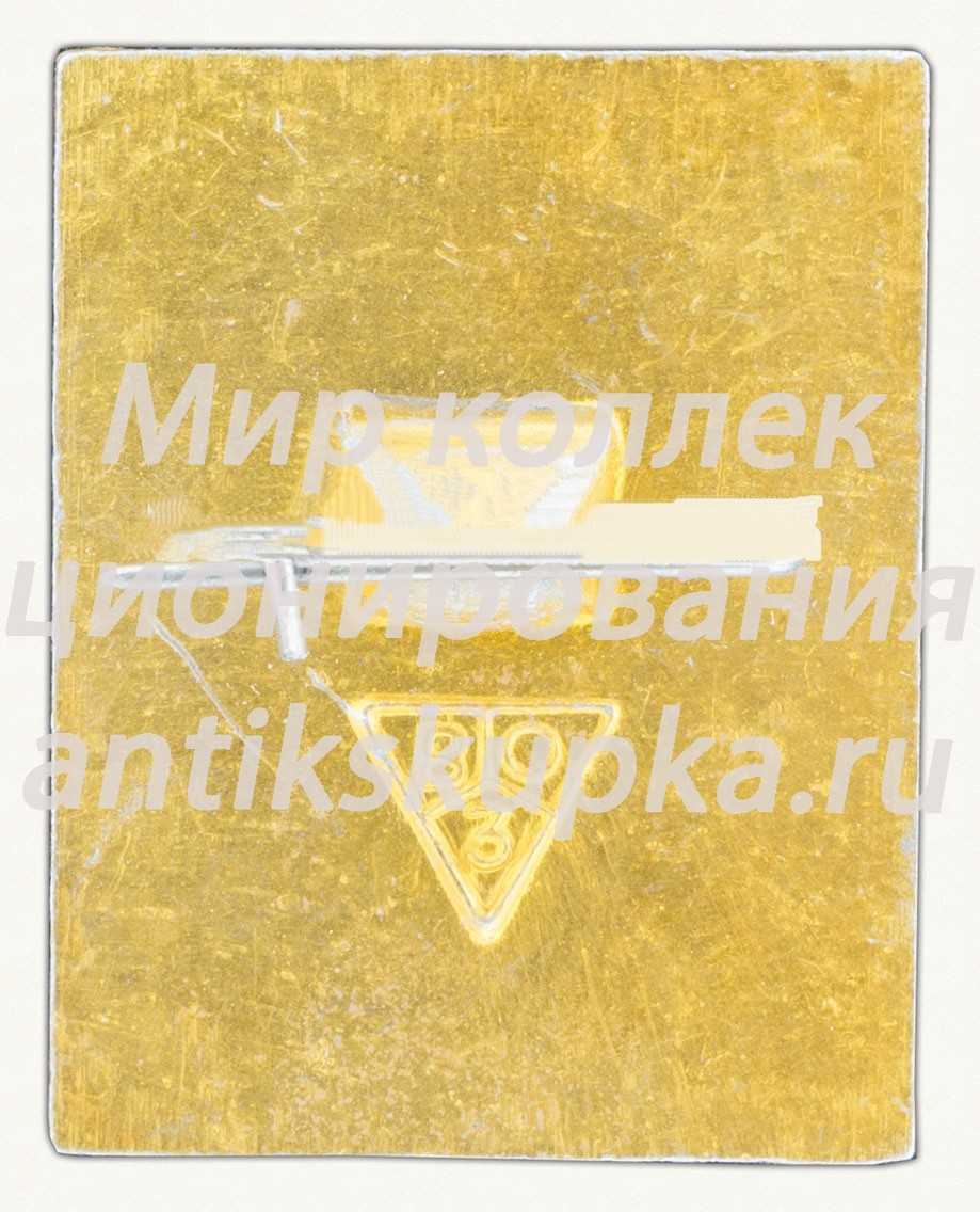 Знак «Город Владимир. Тип 11» Знак «Город Владимир. Тип 11»