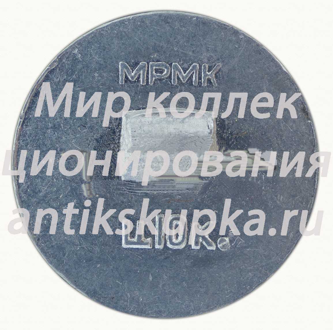 Знак «Город Владимир. Тип 12» Знак «Город Владимир. Тип 12»