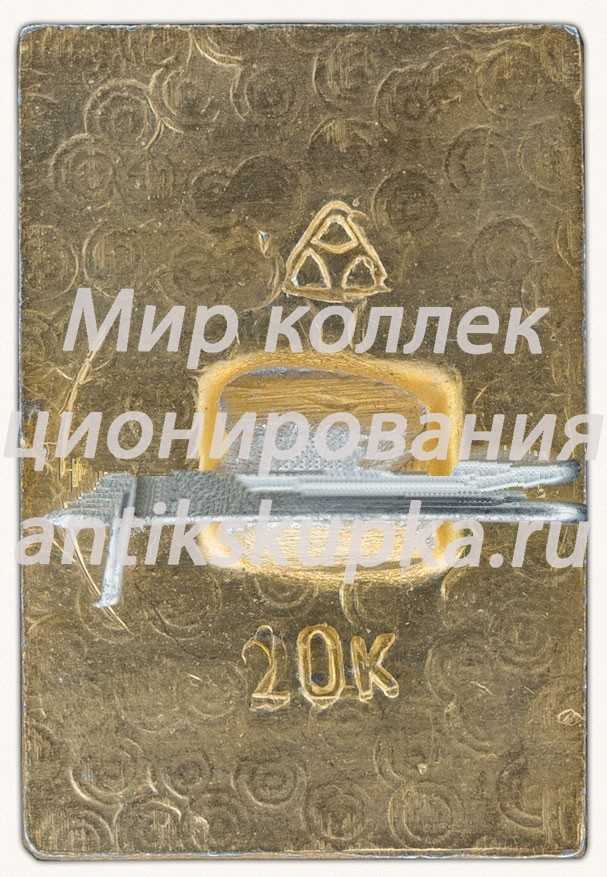 Знак «Город Владимир. Тип 3» Знак «Город Владимир. Тип 3»