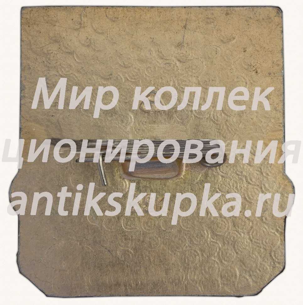 Знак «Город Владимир. Тип 4» Знак «Город Владимир. Тип 4»