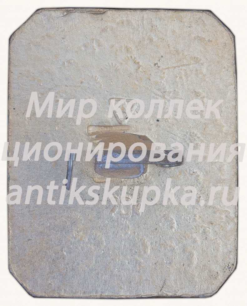 Знак «Город Владимир. Тип 5» Знак «Город Владимир. Тип 5»