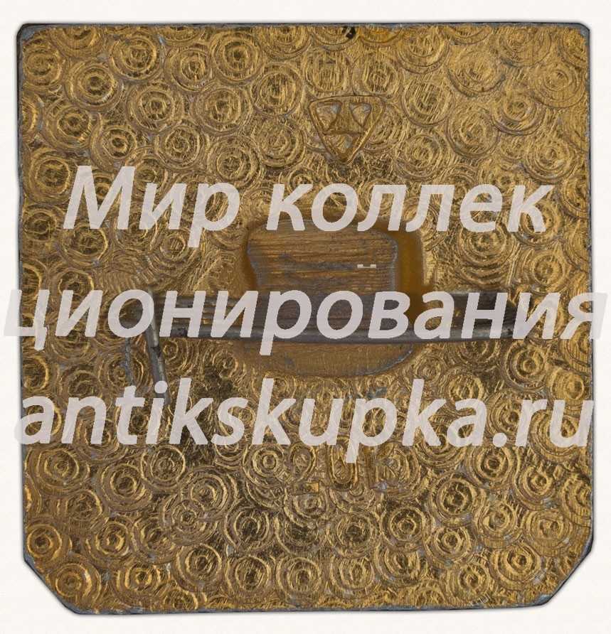 Знак «Город Владимир. Тип 6» Знак «Город Владимир. Тип 6»