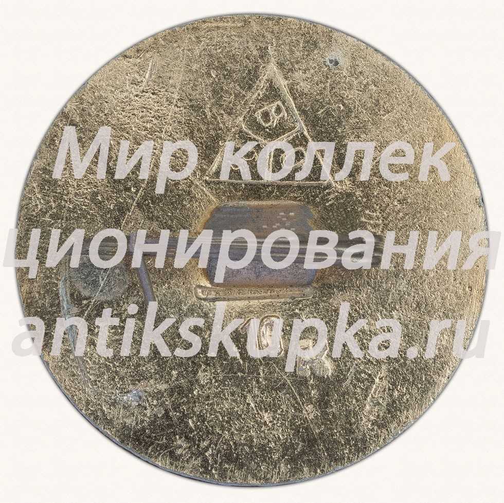 Знак «Город Владимир. Тип 8» Знак «Город Владимир. Тип 8»