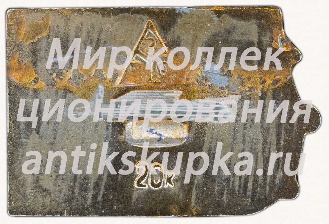 Знак «Город Владимир. Тип 9» Знак «Город Владимир. Тип 9»