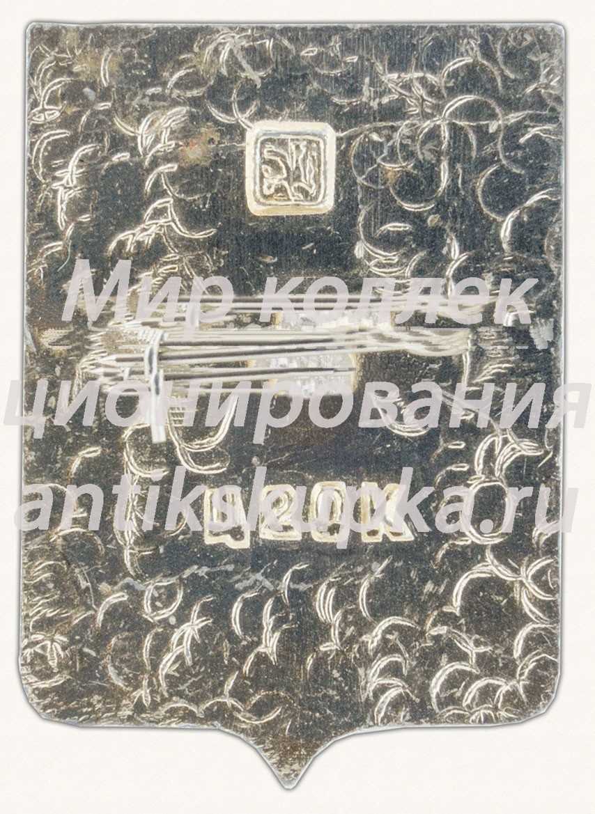 Знак «Город Воронеж. Воронежская область» Знак «Город Воронеж. Воронежская область»