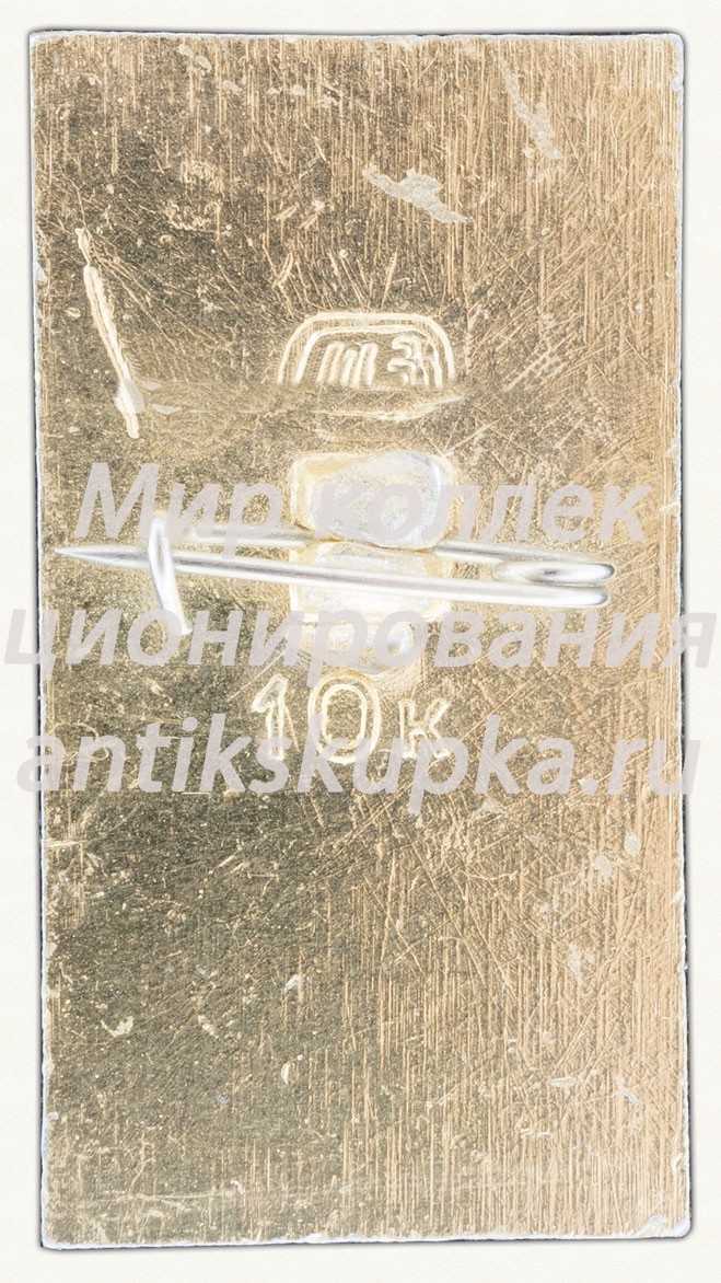 Знак «Город Звенигород. Тип 2» Знак «Город Звенигород. Тип 2»
