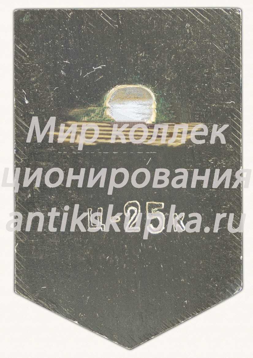 Знак «Гремячая башня. XIV в. город Псков» Знак «Гремячая башня. XIV в. город Псков»
