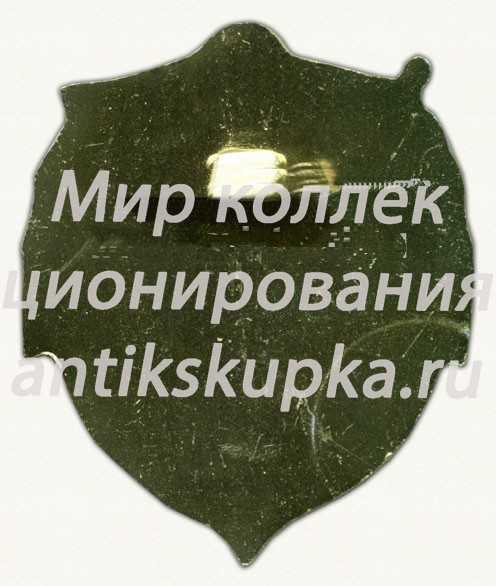 Знак «ХХХ лет техническому управлению Балтийского флота (ТУБФ)» Знак «ХХХ лет техническому управлению Балтийского флота (ТУБФ)»