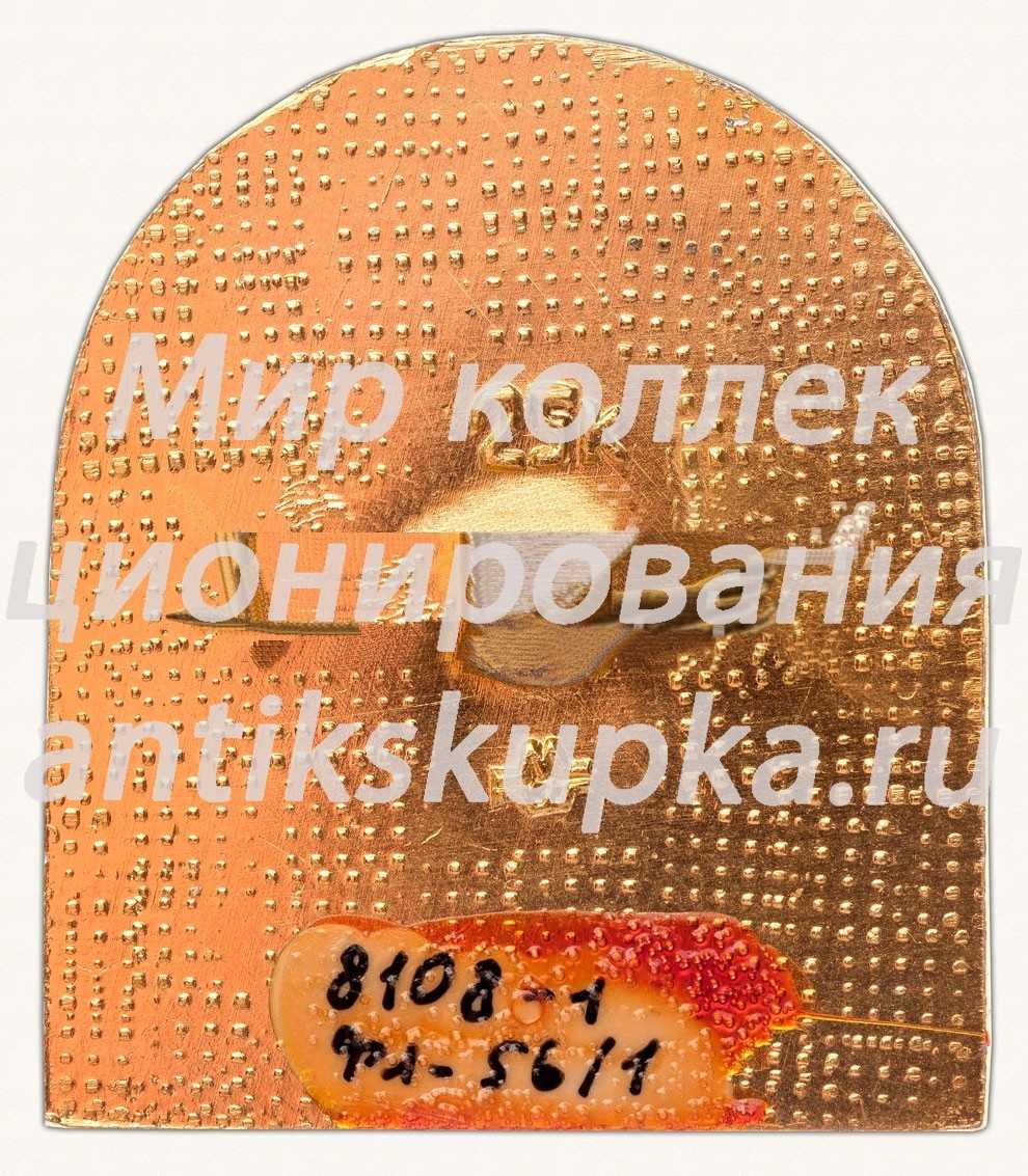 Знак «Иркутск. XIX. Музей краеведения» Знак «Иркутск. XIX. Музей краеведения»