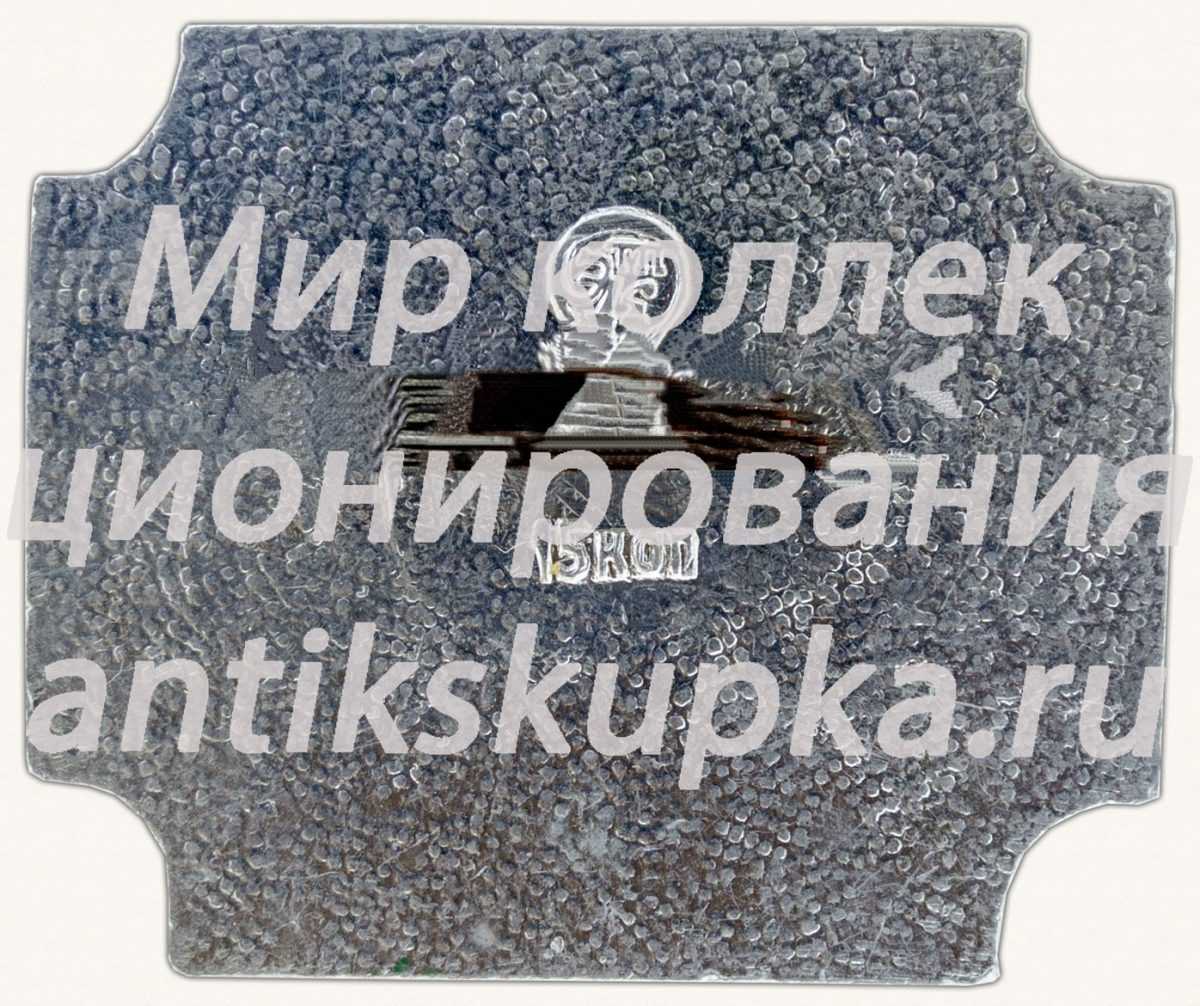 Знак «Изба деревни Большой Халуй. XIX век. Архангельск. Музей деревянного зодчества» Знак «Изба деревни Большой Халуй. XIX век. Архангельск. Музей деревянного зодчества»
