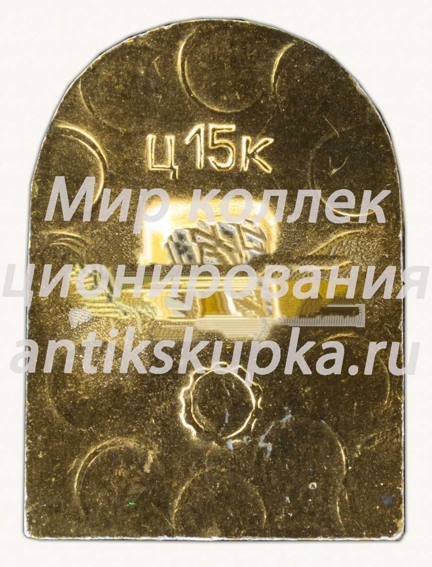 Знак «Южная въездная башня. VXIII век» Знак «Южная въездная башня. VXIII век»