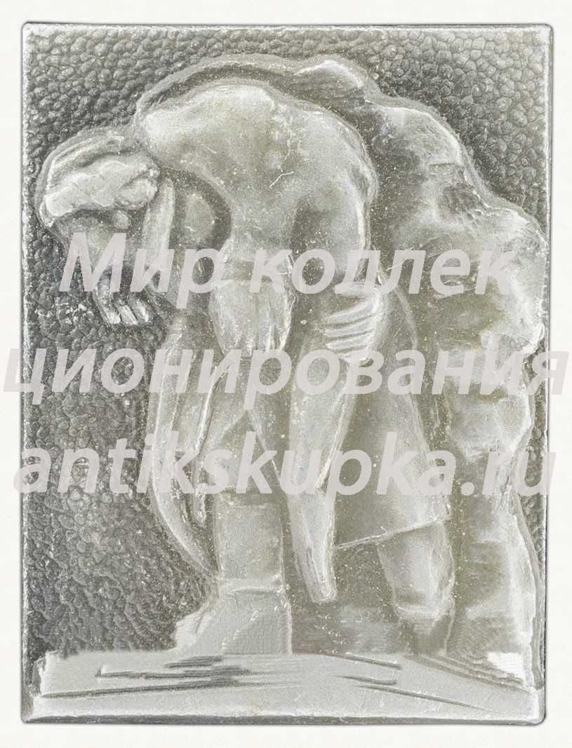 Знак «Крестьянская война 1670-1671» Знак «Крестьянская война 1670-1671»