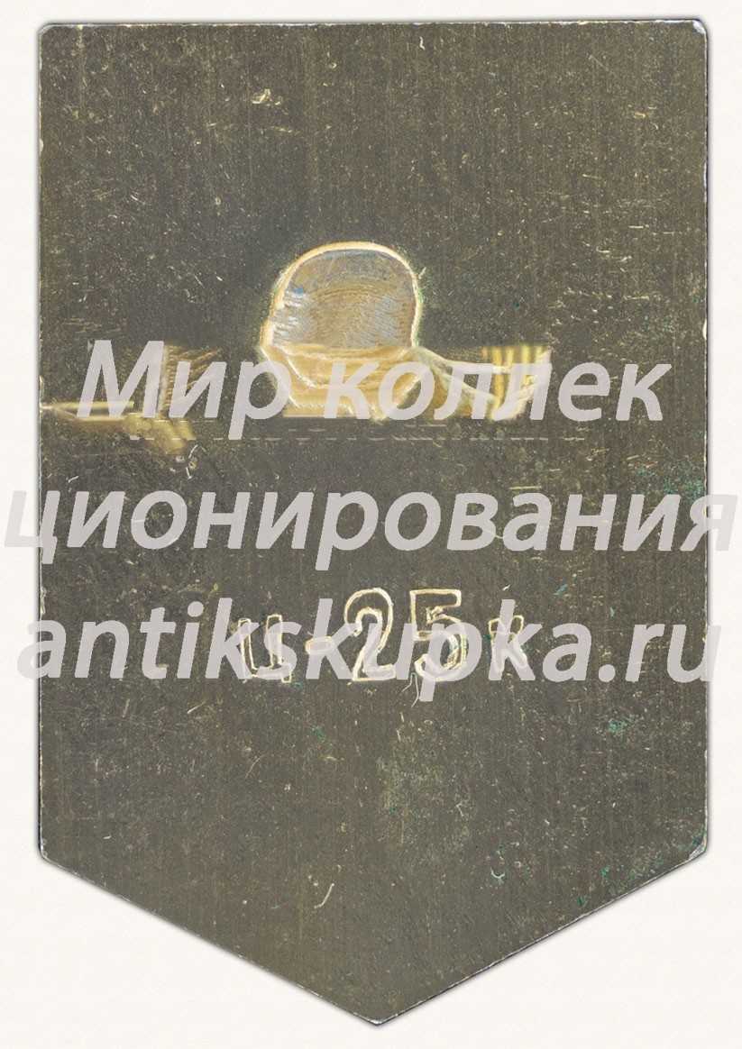 Знак «Плоская башня. XIV в. город Псков» Знак «Плоская башня. XIV в. город Псков»