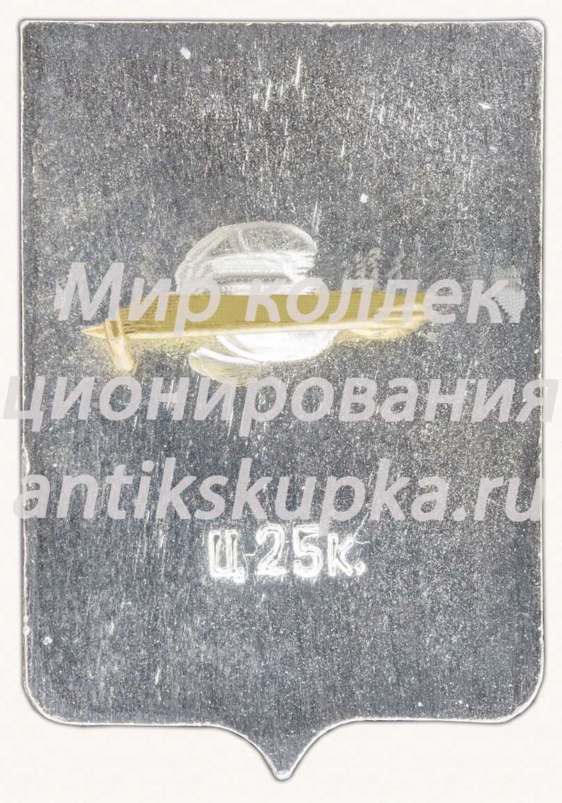 Знак «Поселок городского типа в Новгородской области — Демянск» 2 Знак «Поселок городского типа в Новгородской области — Демянск» 2