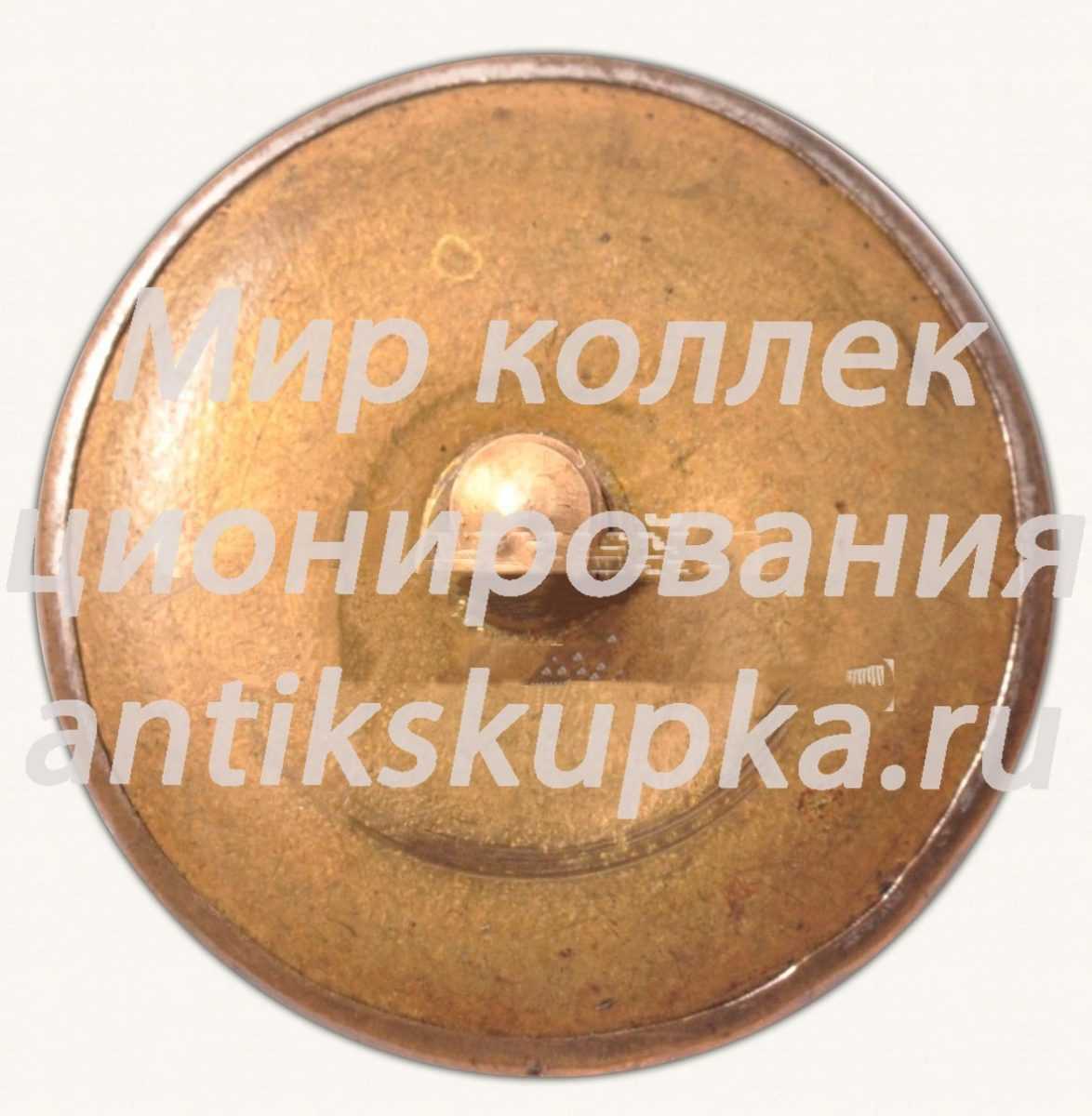 Знак с изображением портрета Сталина. Тип 4 Знак с изображением портрета Сталина. Тип 4