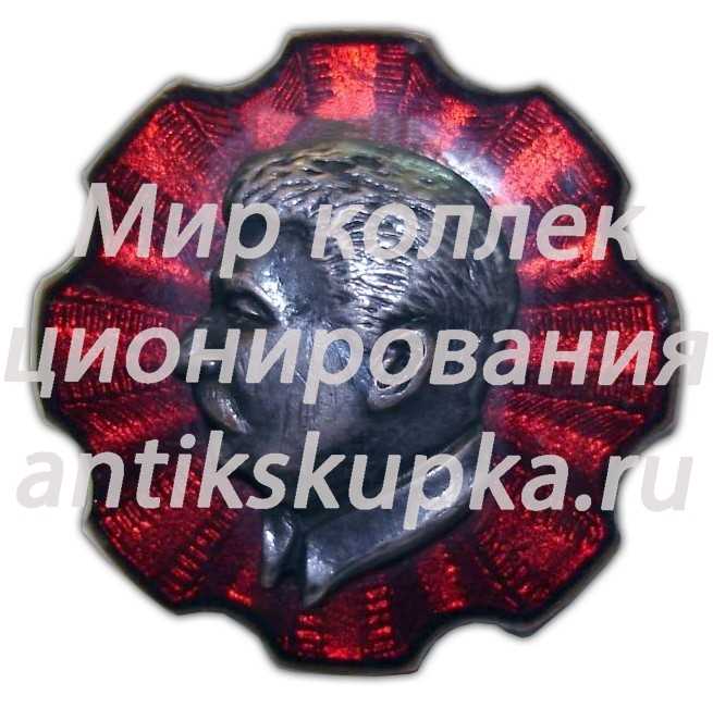 Знак с изображением Сталина 2 Знак с изображением Сталина 2