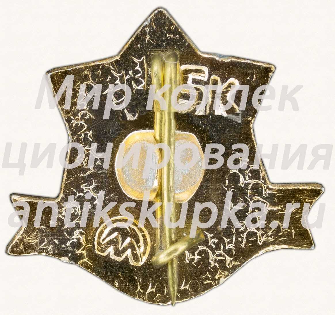 Знак «С новым годом! Тип 5» Знак «С новым годом! Тип 5»