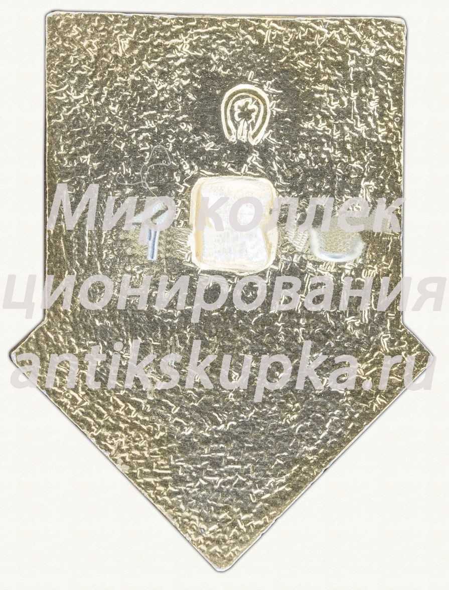Знак серии «Советская пионерия». 60 лет пионерской организации (1922-1982). «Книга» Знак серии «Советская пионерия». 60 лет пионерской организации (1922-1982). «Книга»