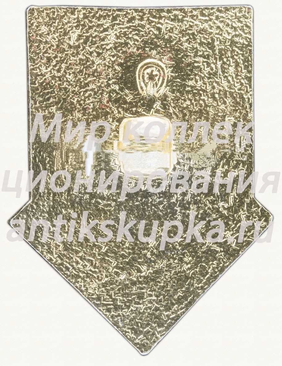 Знак серии «Советская пионерия». 60 лет пионерской организации (1922-1982). «Звезда» Знак серии «Советская пионерия». 60 лет пионерской организации (1922-1982). «Звезда»