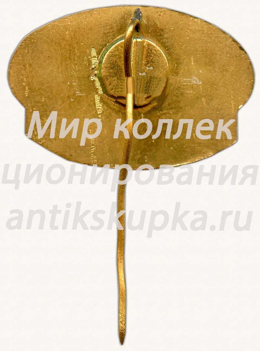 Знак «Тихоокеанское отделение института (ТОИ) Дальневосточного научного центра (ДВНЦ) Академии наук (АН) СССР» Знак «Тихоокеанское отделение института (ТОИ) Дальневосточного научного центра (ДВНЦ) Академии наук (АН) СССР»