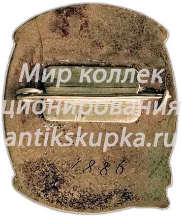 Знак «Участнику антарктической эспедиции» Знак «Участнику антарктической эспедиции»