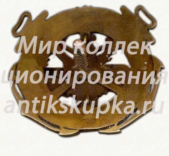 Знак «V лет пожарной охране петр. в. порт. 1917-1922» Знак «V лет пожарной охране петр. в. порт. 1917-1922»