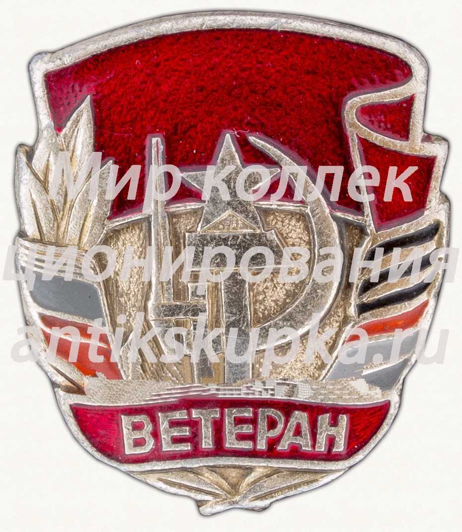 Знак «Ветеран. Великой отечественной войны» Знак «Ветеран. Великой отечественной войны»