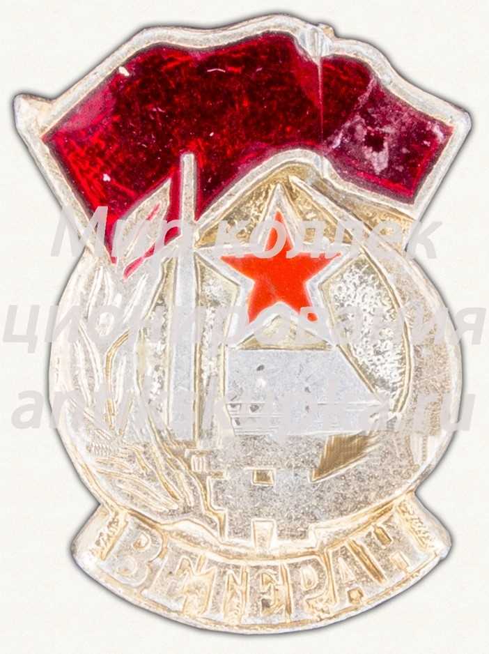 Знак «Ветеран. Великой отечественной войны. Тип 2» Знак «Ветеран. Великой отечественной войны. Тип 2»