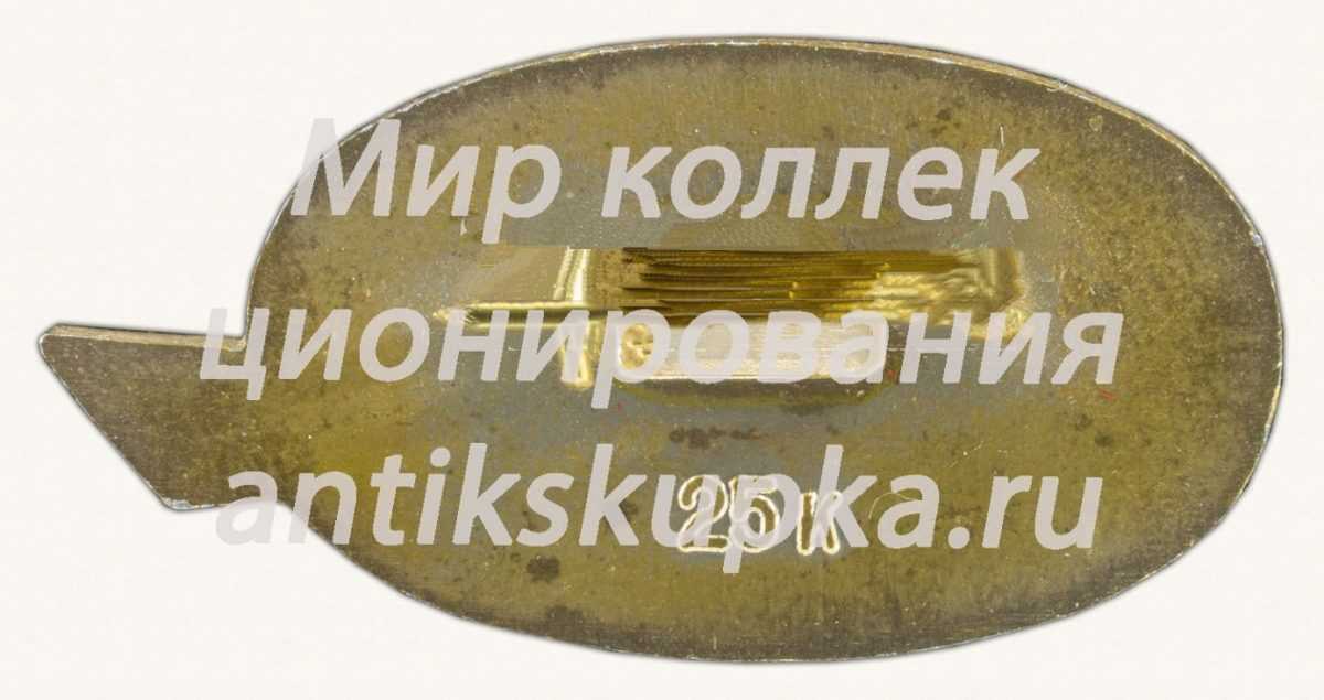 Знак «Владивосток - город четырех океанов» Знак «Владивосток - город четырех океанов»