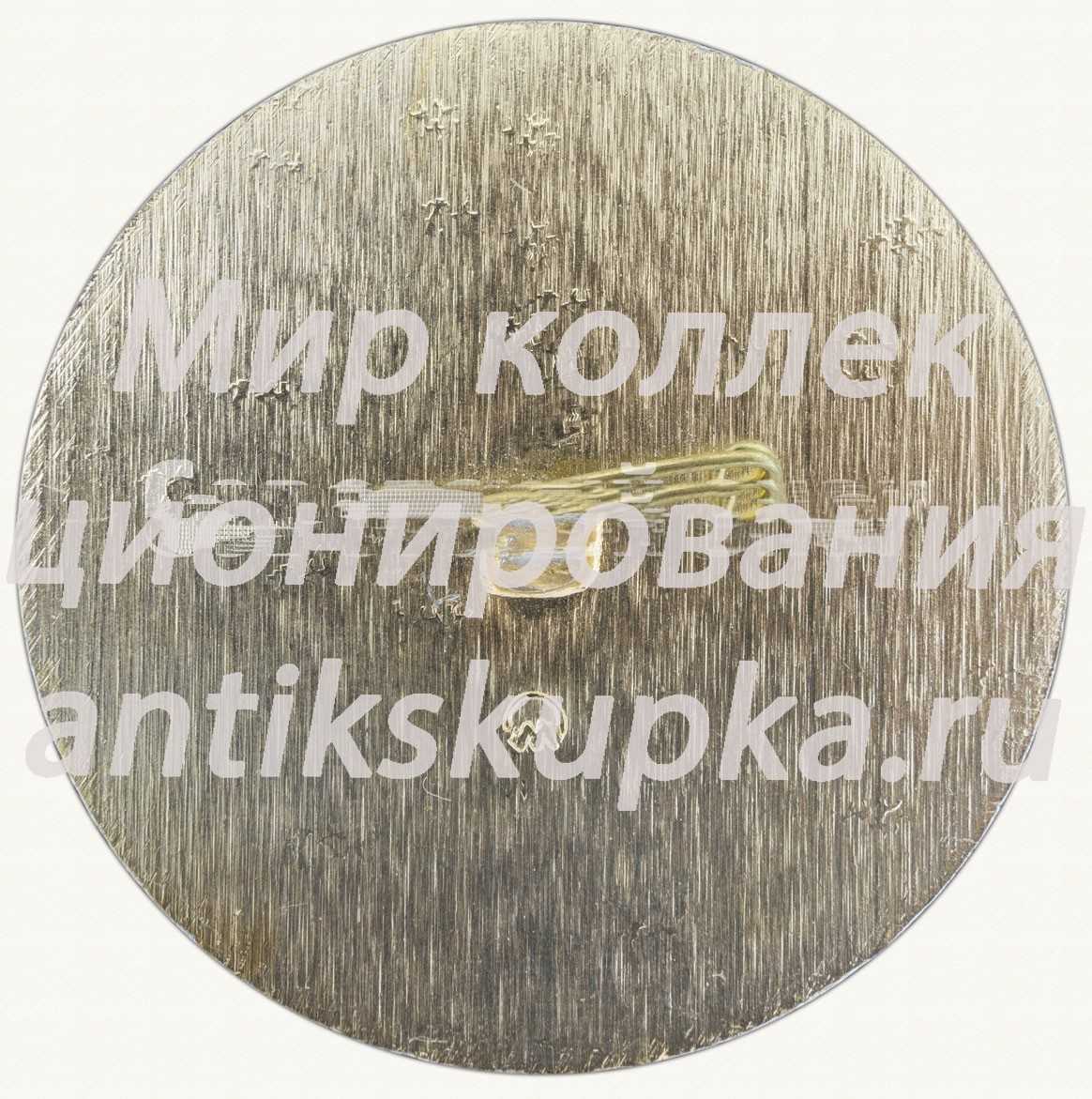 Знак «Все мы дружная семья» Знак «Все мы дружная семья»