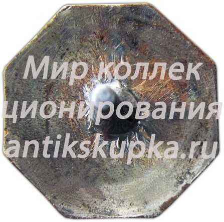 Знак «Всесоюзная перепись населения 1939» Знак «Всесоюзная перепись населения 1939»