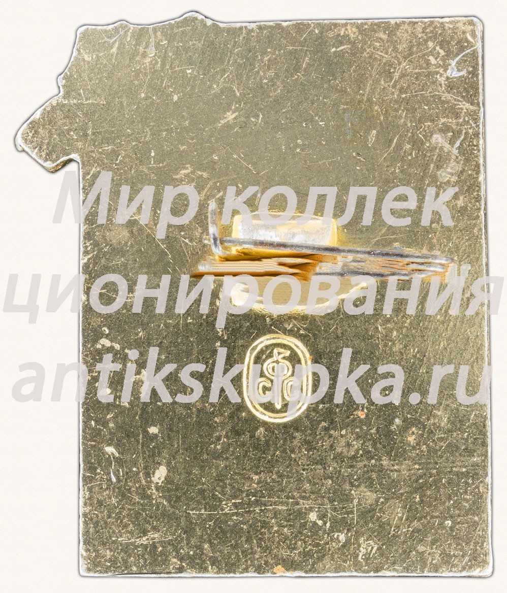 Знак «X-лет экспериментальной космической станции 16.1.1969 «Союз-4» «Союз-5»» Знак «X-лет экспериментальной космической станции 16.1.1969 «Союз-4» «Союз-5»»