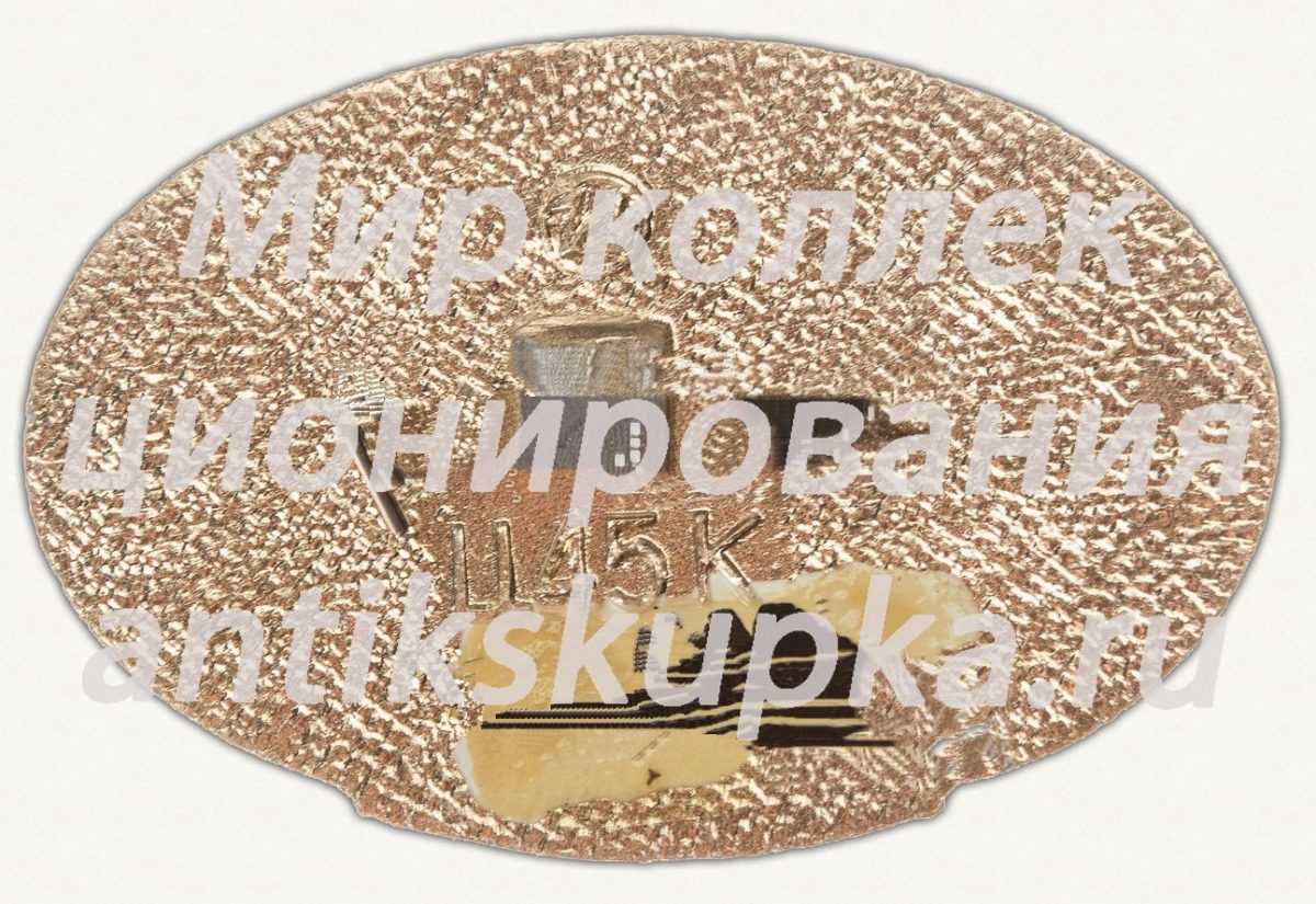 Знак «XII всемирный фестиваль молодежи и студентов. 1985. Москва» Знак «XII всемирный фестиваль молодежи и студентов. 1985. Москва»