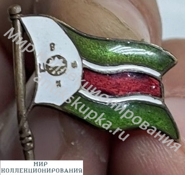 Знак Редкий знак ДСО 30 е годы Знак Редкий знак ДСО 30 е годы
