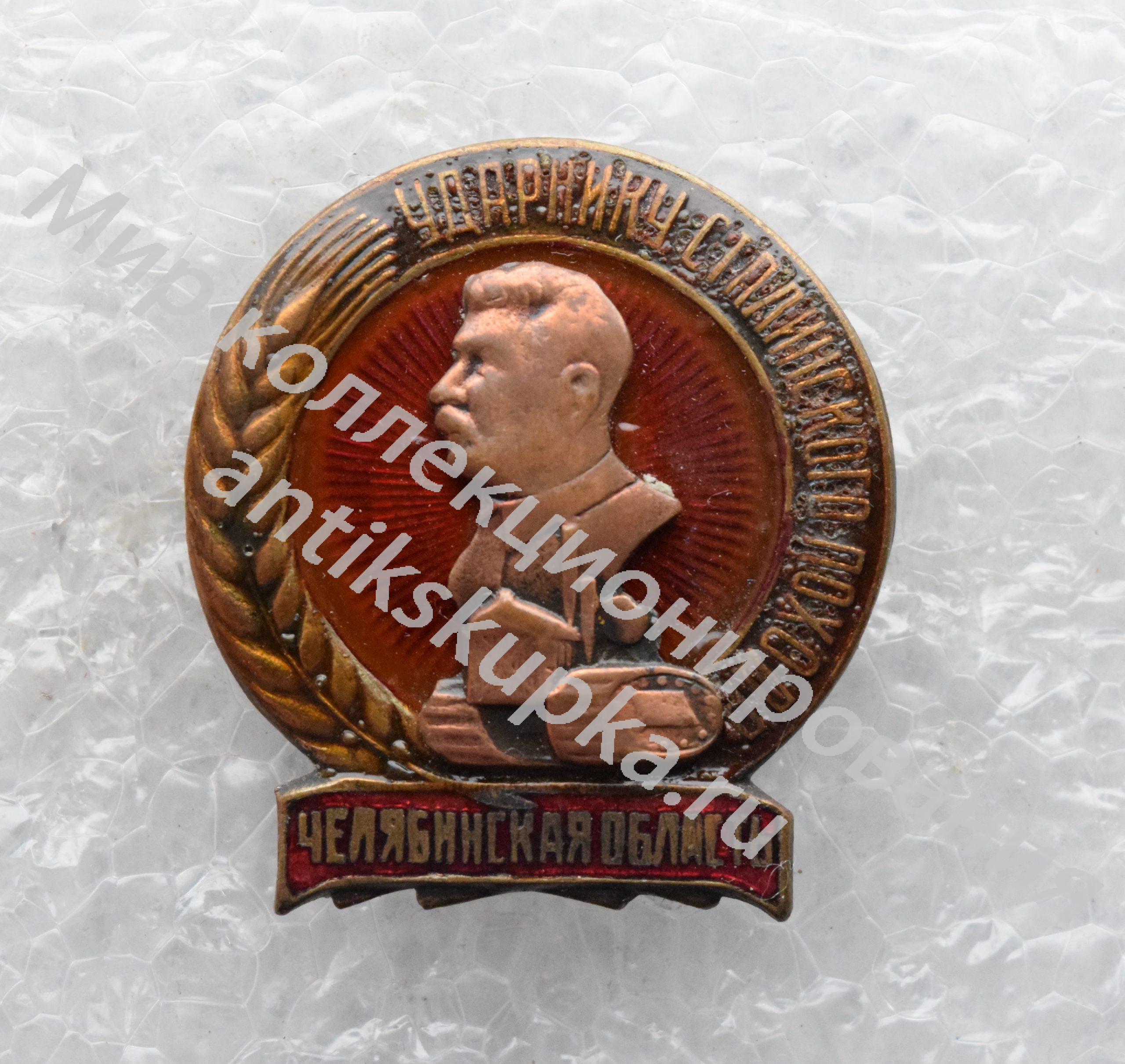 Ударник сталинского похода. Челябинская область Ударник сталинского похода. Челябинская область